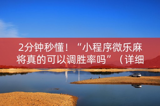 2分钟秒懂！“小程序微乐麻将真的可以调胜率吗”（详细辅助教程）-哔哩哔哩
