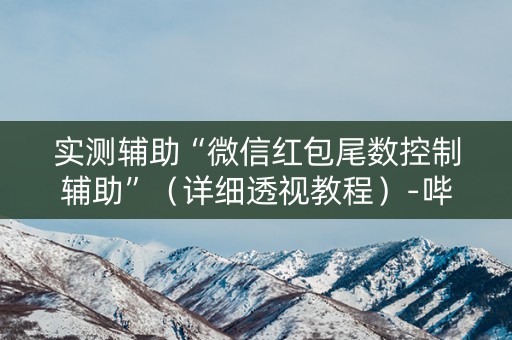 实测辅助“微信红包尾数控制辅助”（详细透视教程）-哔哩哔哩