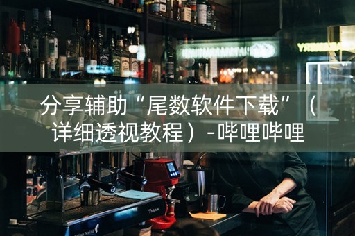 分享辅助“尾数软件下载”（详细透视教程）-哔哩哔哩
