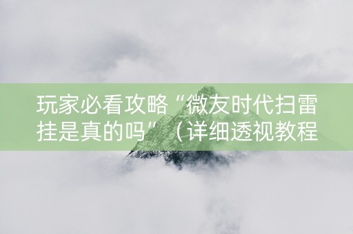 玩家必看攻略“微友时代扫雷挂是真的吗”（详细透视教程）-哔哩哔哩