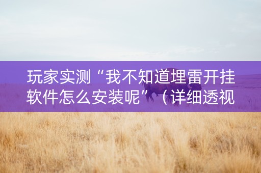 玩家实测“我不知道埋雷开挂软件怎么安装呢”（详细透视教程）-哔哩哔哩