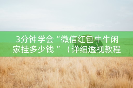3分钟学会“微信红包牛牛闲家挂多少钱 ”（详细透视教程）-哔哩哔哩