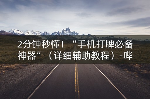 2分钟秒懂！“手机打牌必备神器”（详细辅助教程）-哔哩哔哩