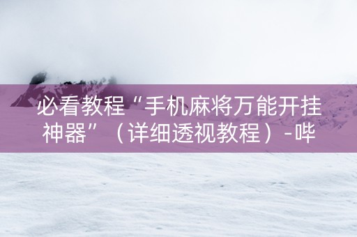 必看教程“手机麻将万能开挂神器”（详细透视教程）-哔哩哔哩