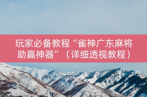 玩家必备教程“雀神广东麻将助赢神器”（详细透视教程）-哔哩哔哩