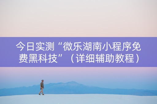 今日实测“微乐湖南小程序免费黑科技”（详细辅助教程）-哔哩哔哩