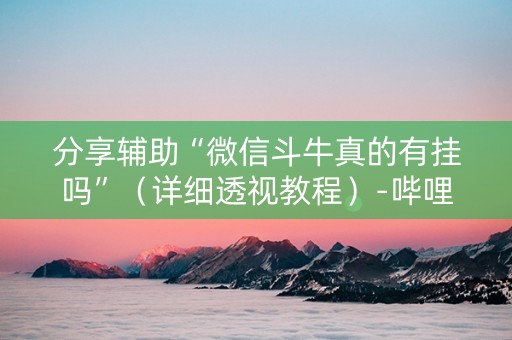 分享辅助“微信斗牛真的有挂吗”（详细透视教程）-哔哩哔哩