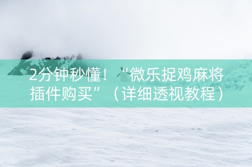 2分钟秒懂！“微乐捉鸡麻将插件购买”（详细透视教程）-哔哩哔哩