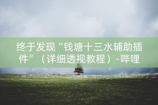 终于发现“钱塘十三水辅助插件”（详细透视教程）-哔哩哔哩