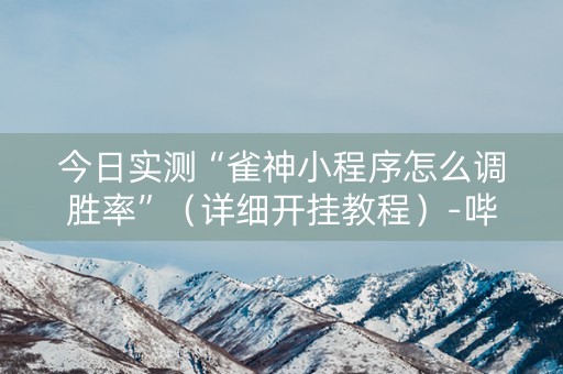 今日实测“雀神小程序怎么调胜率”（详细开挂教程）-哔哩哔哩