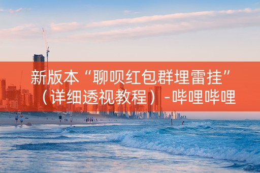 新版本“聊呗红包群埋雷挂”（详细透视教程）-哔哩哔哩