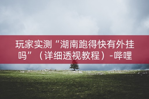 玩家实测“湖南跑得快有外挂吗”（详细透视教程）-哔哩哔哩