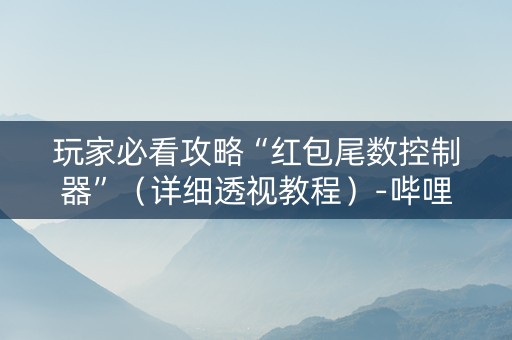 玩家必看攻略“红包尾数控制器”（详细透视教程）-哔哩哔哩