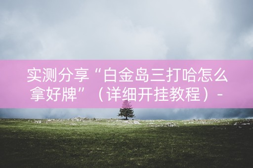 实测分享“白金岛三打哈怎么拿好牌”（详细开挂教程）-哔哩哔哩