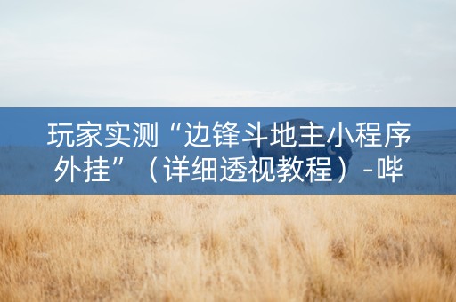 玩家实测“边锋斗地主小程序外挂”（详细透视教程）-哔哩哔哩