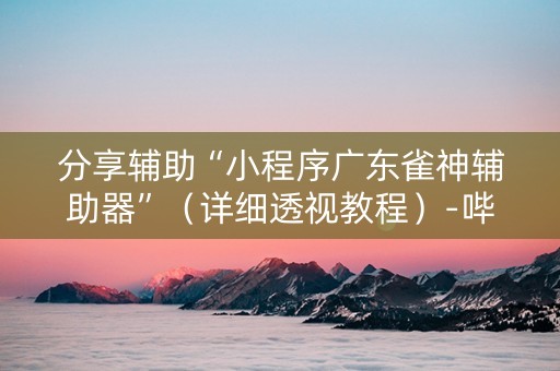 分享辅助“小程序广东雀神辅助器”（详细透视教程）-哔哩哔哩