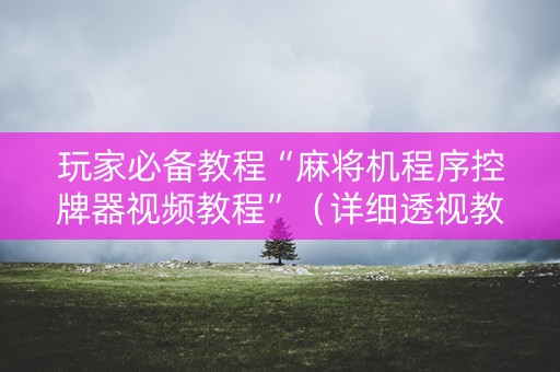 玩家必备教程“麻将机程序控牌器视频教程”（详细透视教程）-哔哩哔哩
