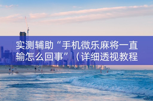 实测辅助“手机微乐麻将一直输怎么回事”（详细透视教程）-哔哩哔哩