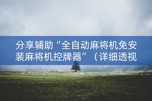 分享辅助“全自动麻将机免安装麻将机控牌器”（详细透视教程）-哔哩哔哩
