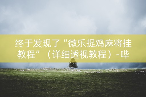 终于发现了“微乐捉鸡麻将挂教程”（详细透视教程）-哔哩哔哩