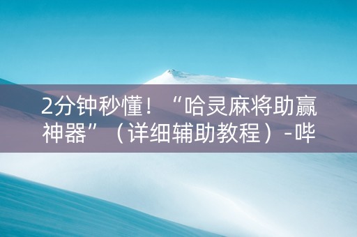 2分钟秒懂！“哈灵麻将助赢神器”（详细辅助教程）-哔哩哔哩