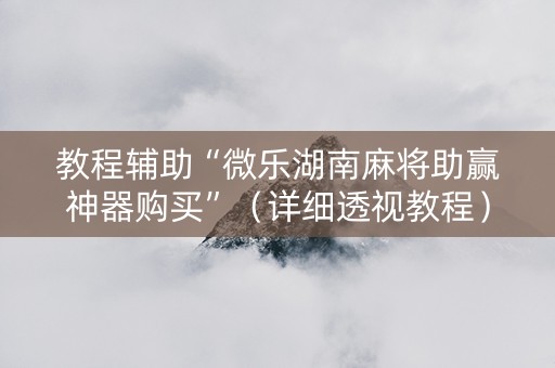 教程辅助“微乐湖南麻将助赢神器购买”（详细透视教程）-哔哩哔哩