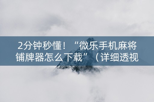 2分钟秒懂！“微乐手机麻将铺牌器怎么下载”（详细透视教程）-哔哩哔哩