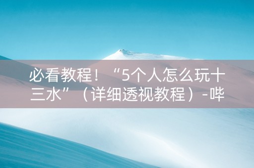 必看教程！“5个人怎么玩十三水”（详细透视教程）-哔哩哔哩