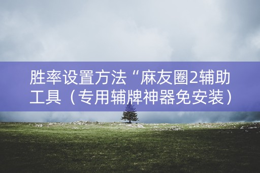 胜率设置方法“麻友圈2辅助工具（专用辅牌神器免安装）