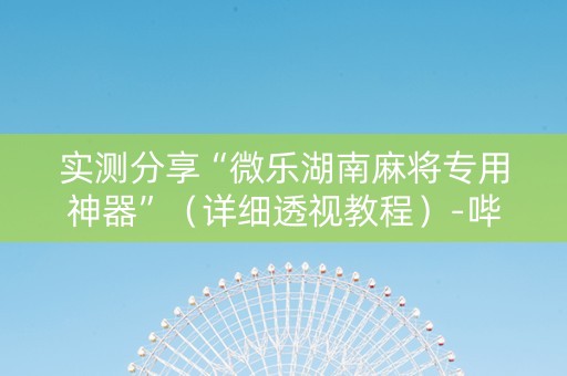 实测分享“微乐湖南麻将专用神器”（详细透视教程）-哔哩哔哩