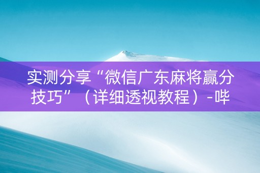 实测分享“微信广东麻将赢分技巧”（详细透视教程）-哔哩哔哩