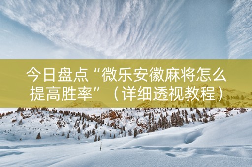 今日盘点“微乐安徽麻将怎么提高胜率”（详细透视教程）-哔哩哔哩