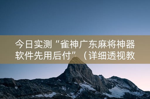 今日实测“雀神广东麻将神器软件先用后付”（详细透视教程）-哔哩哔哩