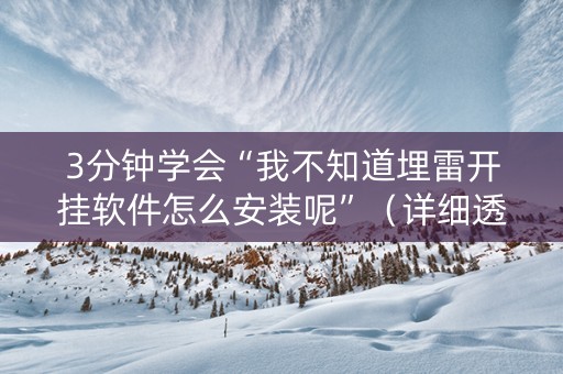 3分钟学会“我不知道埋雷开挂软件怎么安装呢”（详细透视教程）-哔哩哔哩