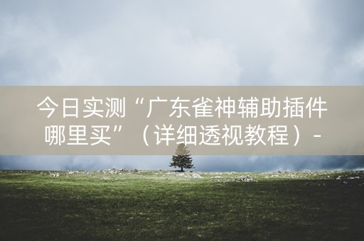 今日实测“广东雀神辅助插件哪里买”（详细透视教程）-哔哩哔哩