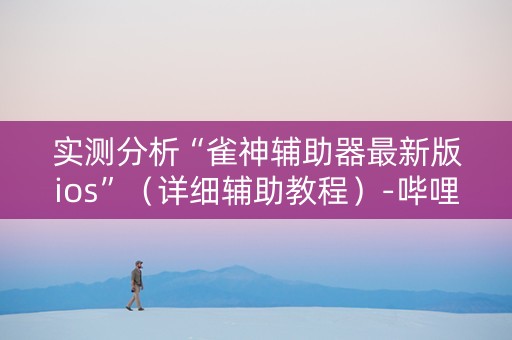 实测分析“雀神辅助器最新版ios”（详细辅助教程）-哔哩哔哩