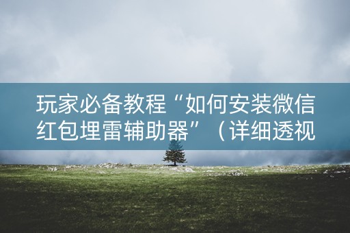 玩家必备教程“如何安装微信红包埋雷辅助器”（详细透视教程）-哔哩哔哩