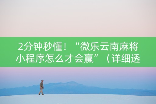 2分钟秒懂！“微乐云南麻将小程序怎么才会赢”（详细透视教程）-哔哩哔哩