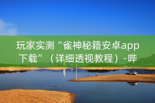 玩家实测“雀神秘籍安卓app下载”（详细透视教程）-哔哩哔哩
