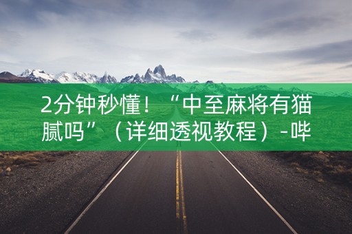 2分钟秒懂！“中至麻将有猫腻吗”（详细透视教程）-哔哩哔哩