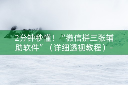 2分钟秒懂！“微信拼三张辅助软件”（详细透视教程）-哔哩哔哩
