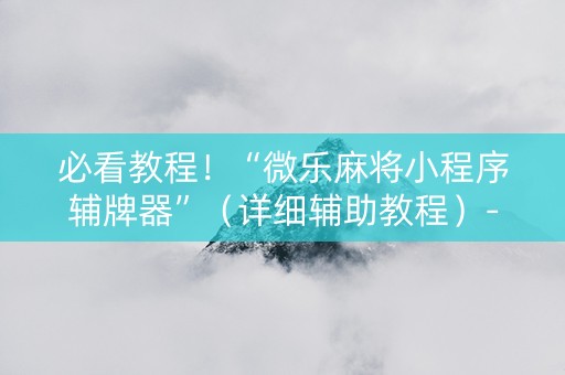 必看教程！“微乐麻将小程序辅牌器”（详细辅助教程）-哔哩哔哩