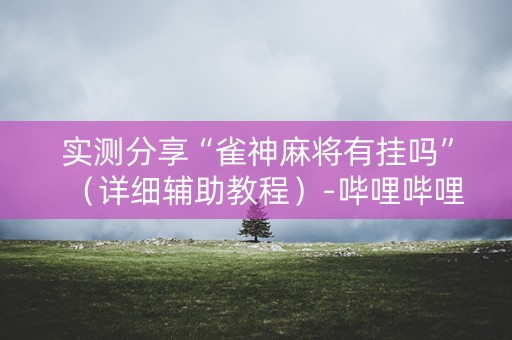 实测分享“雀神麻将有挂吗”（详细辅助教程）-哔哩哔哩