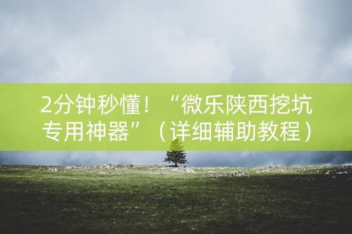 2分钟秒懂！“微乐陕西挖坑专用神器”（详细辅助教程）-哔哩哔哩