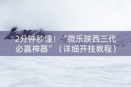 2分钟秒懂！“微乐陕西三代必赢神器”（详细开挂教程）-哔哩哔哩