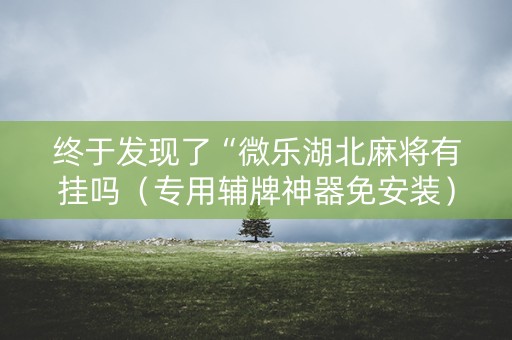 终于发现了“微乐湖北麻将有挂吗（专用辅牌神器免安装）