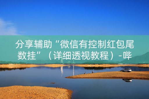 分享辅助“微信有控制红包尾数挂”（详细透视教程）-哔哩哔哩