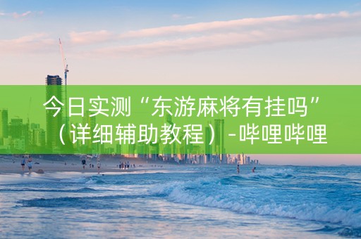 今日实测“东游麻将有挂吗”（详细辅助教程）-哔哩哔哩