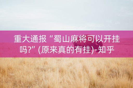 重大通报“蜀山麻将可以开挂吗?”(原来真的有挂)-知乎
