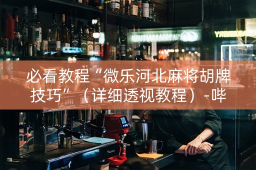 必看教程“微乐河北麻将胡牌技巧”（详细透视教程）-哔哩哔哩
